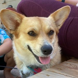 Meet your Posher, Beth